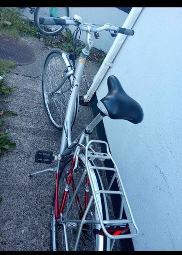 Goldrush meteor bike