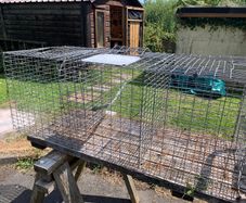 Larsen trap