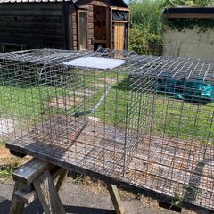 Larsen trap