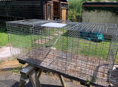 Larsen trap