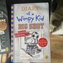 Diary of a Wimpy Kid books x 3 Image 2