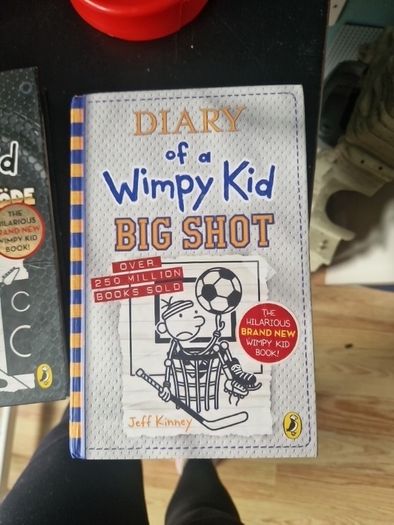Diary of a Wimpy Kid books x 3