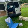 Cosy Volkswagen Caddy Maxi Camper Image 5