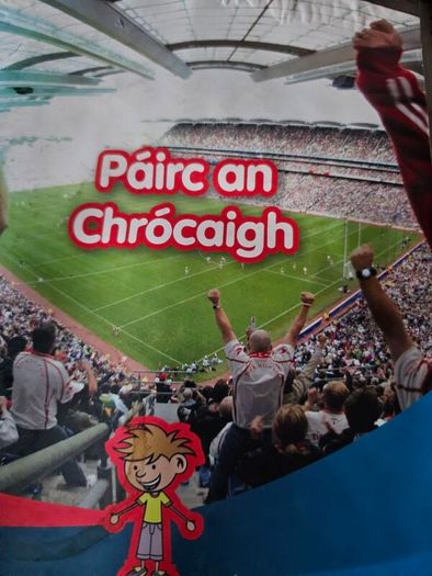 GAA books,programmes and DVDS