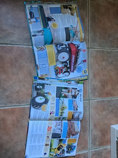 Guineas World Records 2918 and 2019
