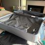 Extra large Steve Madden suitcase. Used once. Double zip so it can be expanded. Image 2