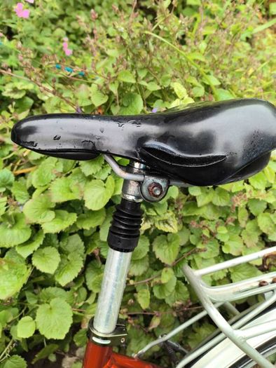 ladies bike