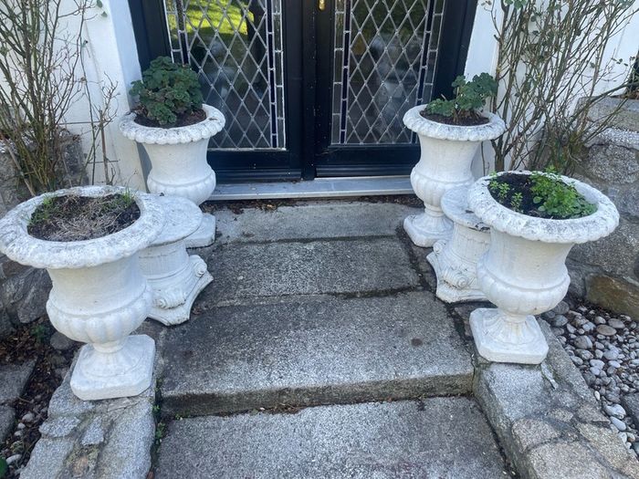 Decorative Concrete Planters