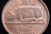 Ireland - 1964 - Half Penny - 1/2d - Sow - KM.10 - UNC - [2706]