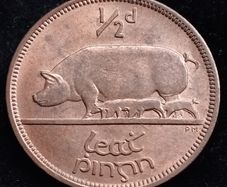 Ireland - 1964 - Half Penny - 1/2d - Sow - KM.10 - UNC - [2706]