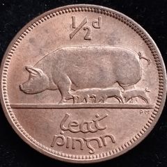 Ireland - 1964 - Half Penny - 1/2d - Sow - KM.10 - UNC - [2706]