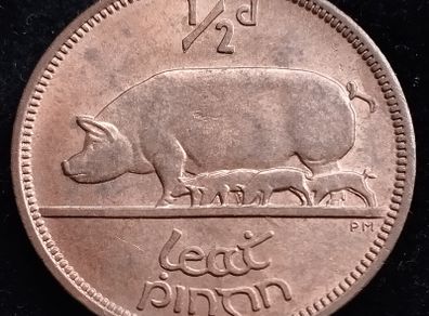 Ireland - 1964 - Half Penny - 1/2d - Sow - KM.10 - UNC - [2706]