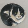 Handpainted cat on stone 1993 Image 2