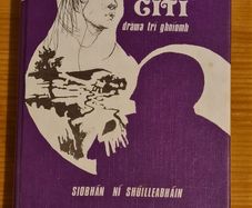 Giti. By Siobnan Ni Shuilleabhain. First edition. Hardback With Dustjacket In Very Good. Signed By Author..check out "bruster54" for lrish language books.