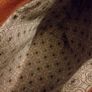 Reiker Bag Image 4