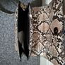 ZARA handbag Image 5
