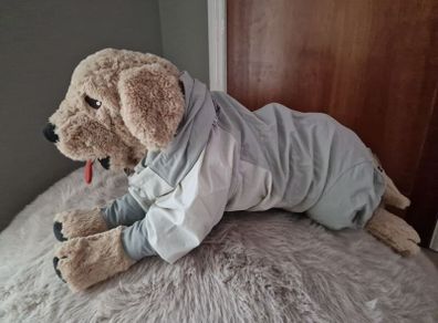 dog cloth