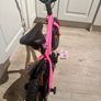 Trek 12 inch Image 2