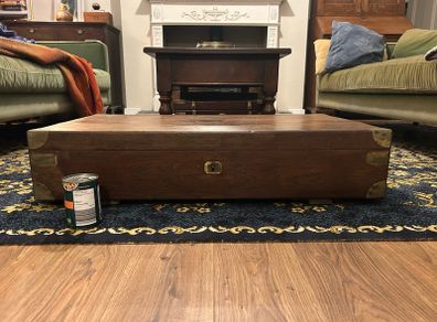 Antique Gun Case with Brass Mounts