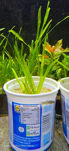 Aquarium Clay-peat balls 20 pieces