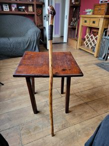 Walking stick