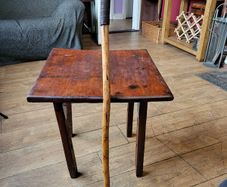Walking stick