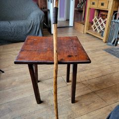 Walking stick