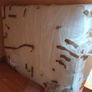 King Size Solid Oak bed and quality breathable Merino wool mattress Image 8