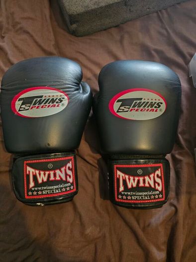 Twins Boxing Gloves