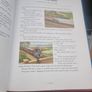 Thomas The Tank Engine Collection by Rev. W. Awdry and Thomas and his friends.Hardback Image 9