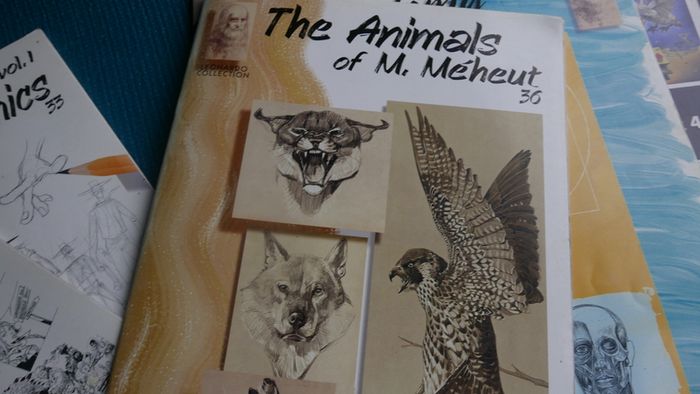 Collection of Vintage Books