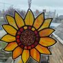Sunflower Image 6