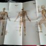 IONS Therapy: Exclusive Collection Therapy Image 10