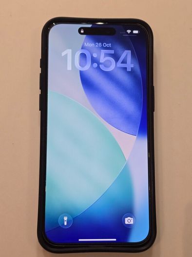 iPhone 15 Pro Max 256gb silver