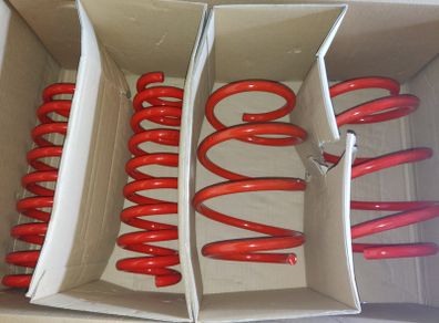 BMW Cobra Lowering Springs