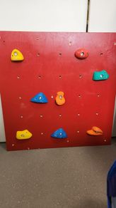 Climbing wall panels