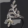 Ring Image 2