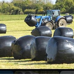 Round bales silage