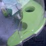 Free Hamster Home Image 2