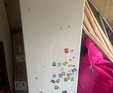 Baumatic Freezer