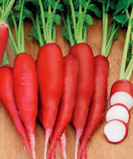 (R) Radish Krasnyj Velikan seeds 3g (121069)