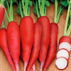 (R) Radish Krasnyj Velikan seeds 3g (121069)