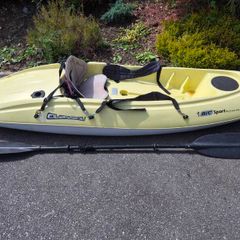 Kayak