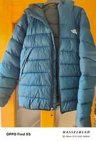The North face puffer jacket