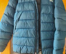 The North face puffer jacket