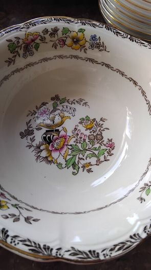 Alfred Meakin Jerome Hand  Painted