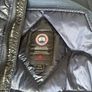 Canada goose hybridge Image 3