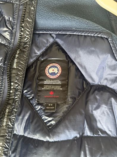 Canada goose hybridge