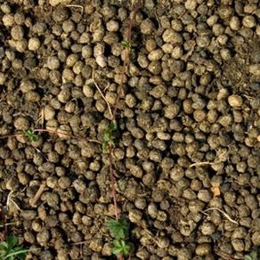 Rabbit Fertiliser Manure For Free!