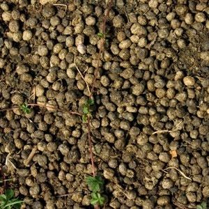 Rabbit Fertiliser Manure For Free!